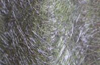 Wood Walton fibreglass roof work